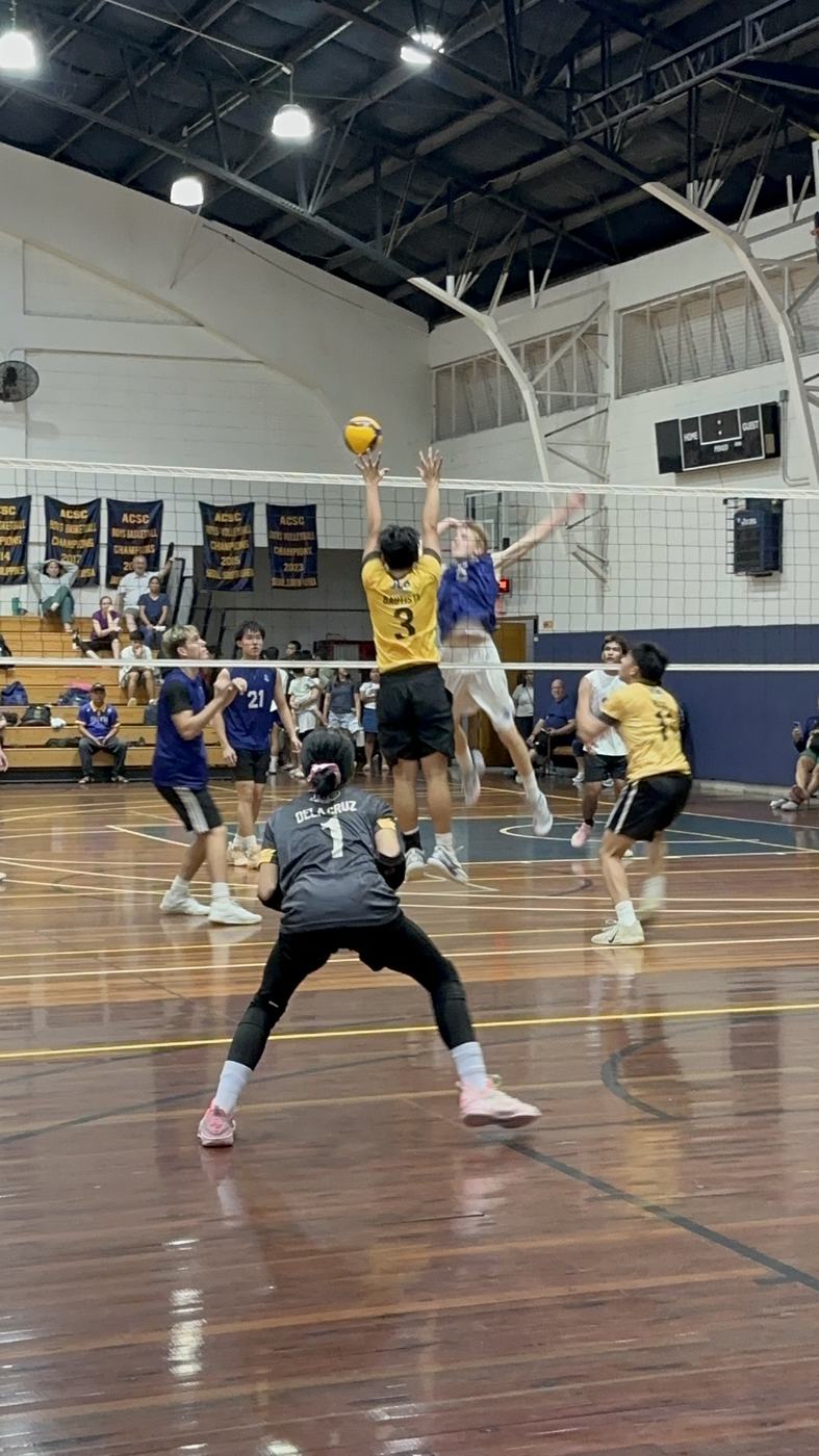 An HDE player in gold sets the ball during a game in a school gym